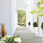 81212a_3fdabef719e84a38aaac64b9364e28fe~mv2